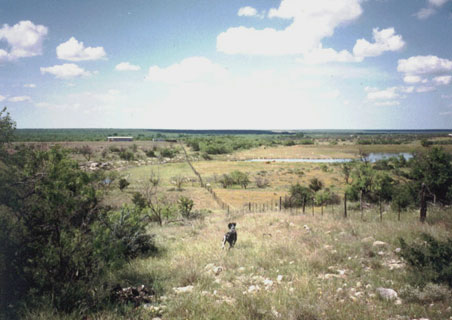 Rock Ridge Ranch